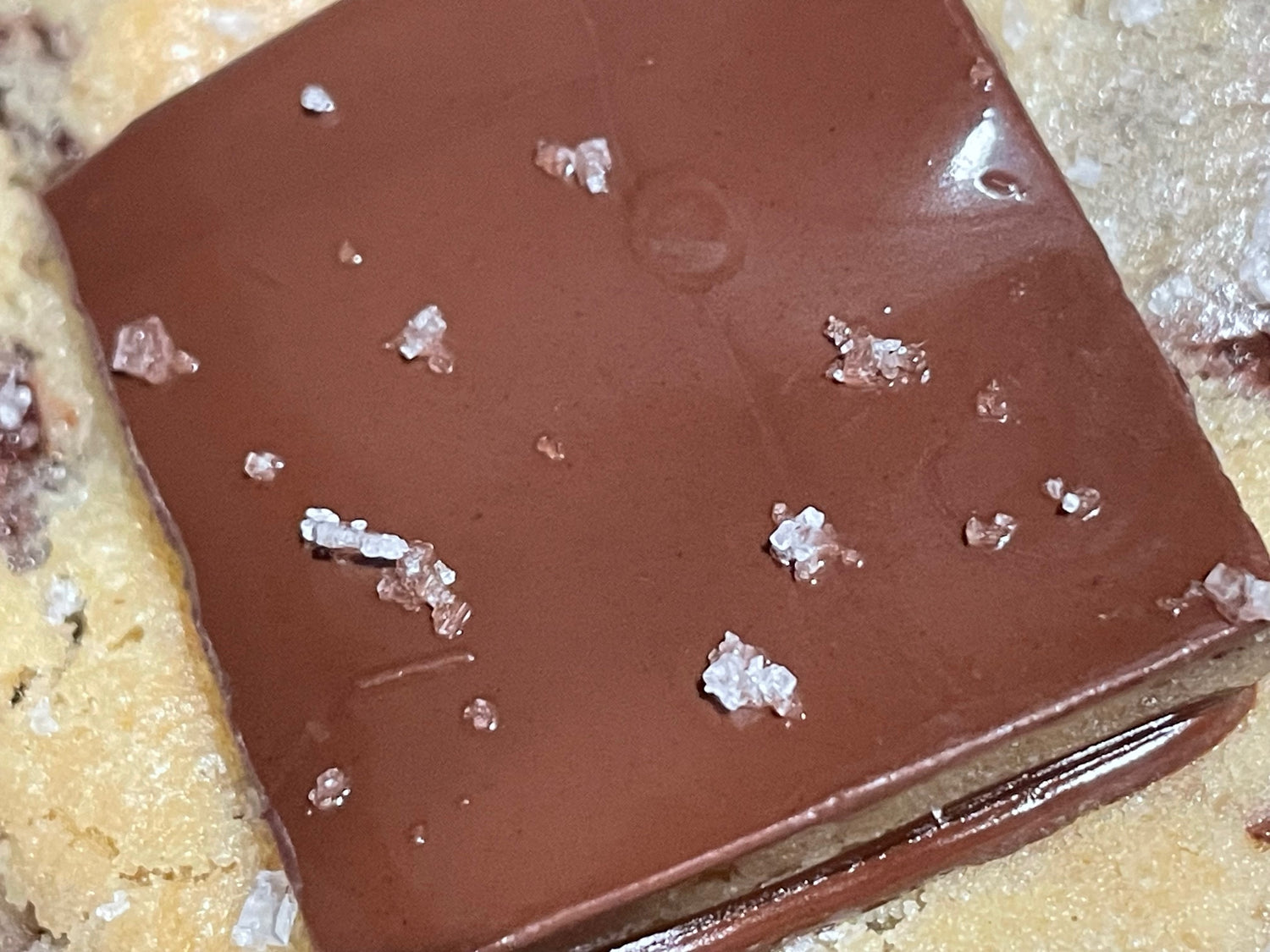 Fleur del Sel Chocolate Chip